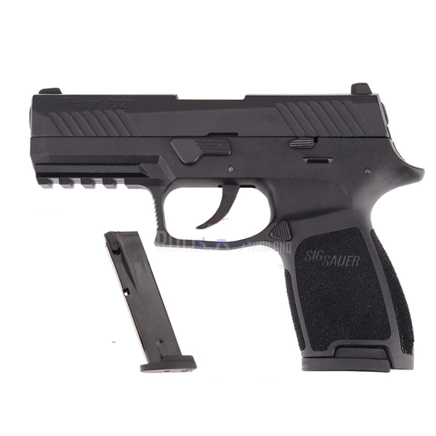 sig_sauer-pe320_2