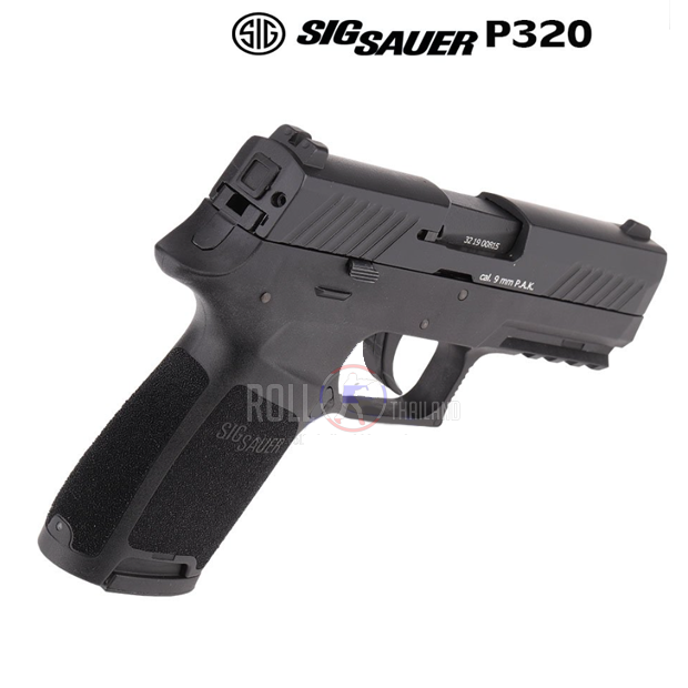 sig_sauer-pe320_4